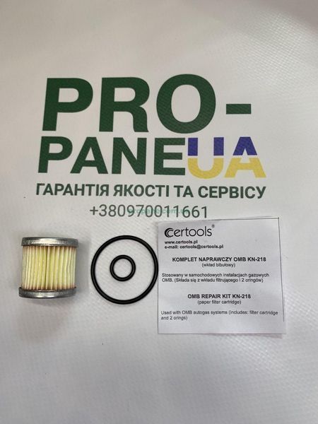 Фильтр вкладыш клапана газа OMB и в редуктор Atiker SR05 с резинками 0382 фото