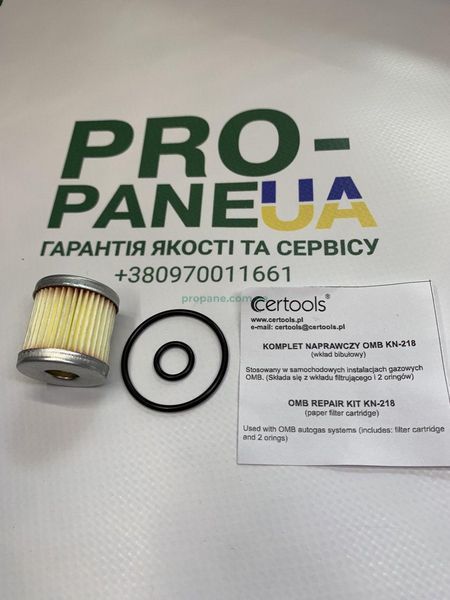 Фильтр вкладыш клапана газа OMB и в редуктор Atiker SR05 с резинками 0382 фото