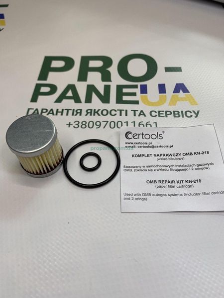 Фильтр вкладыш клапана газа OMB и в редуктор Atiker SR05 с резинками 0382 фото