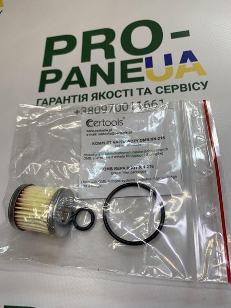 Фильтр вкладыш клапана газа OMB и в редуктор Atiker SR05 с резинками 0382 фото