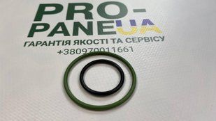 Комплект резинок до вкладишу в редуктор Tomasetto AT07 AT09 Італія! 0402 фото