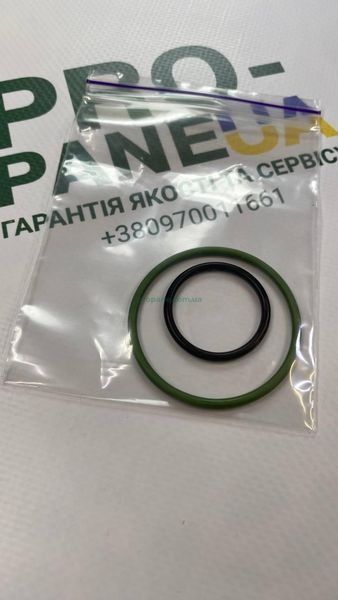 Комплект резинок до вкладишу в редуктор Tomasetto AT07 AT09 Італія! 0402 фото